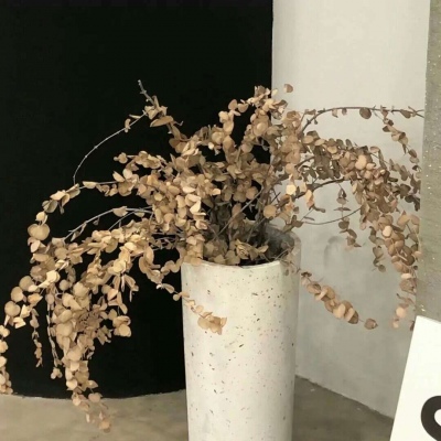 泗洪FurryQQ群介绍